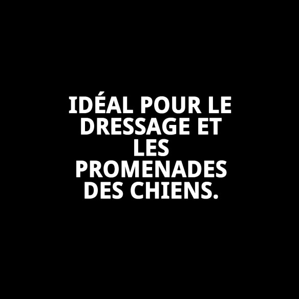 Collier et Laisse en Nylon pour Éducation - 120x1.30cm