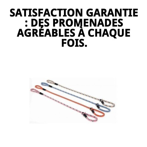 Collier et Laisse en Nylon pour Éducation - 120x1.30cm