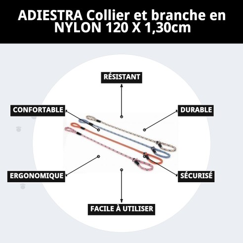 Collier et Laisse en Nylon pour Éducation - 120x1.30cm
