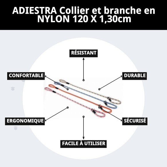 Collier et Laisse en Nylon pour Éducation - 120x1.30cm