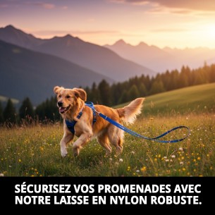 Ramal en Nylon pour Police 200 cm x 1,5 cm - Résistance et Style 2