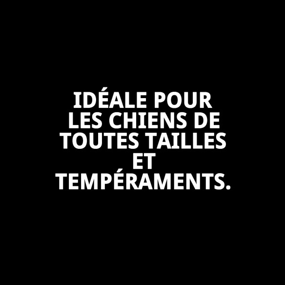 Ramal en Nylon pour Police 200 cm x 1,5 cm - Résistance et Style