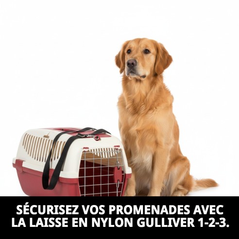 Sangle en nylon pour transporteurs Gulliver 1-2-3