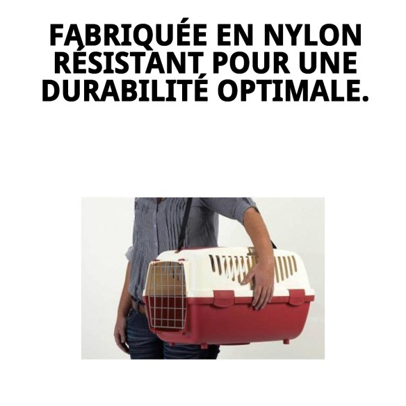 Sangle en nylon pour transporteurs Gulliver 1-2-3
