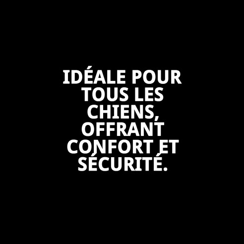 Sangle en nylon pour transporteurs Gulliver 1-2-3