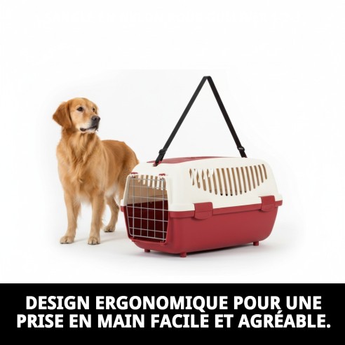 Sangle en nylon pour transporteurs Gulliver 1-2-3