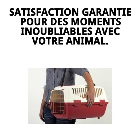 Sangle en nylon pour transporteurs Gulliver 1-2-3