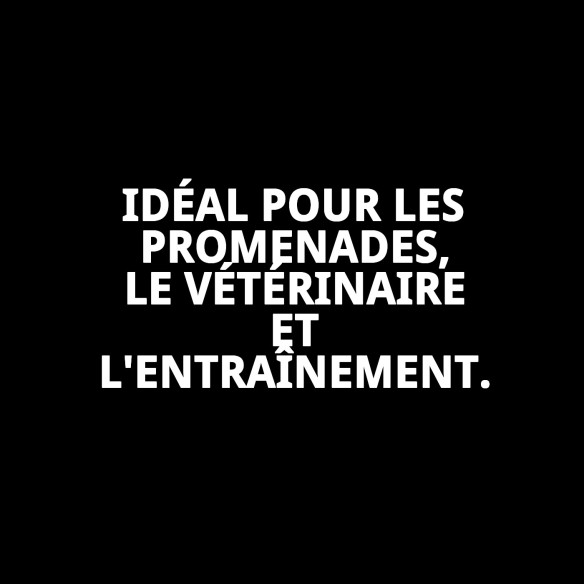 Muzzle Panier Cuir et Plastique N6 : Confort et Style pour votre Animal de Compagnie