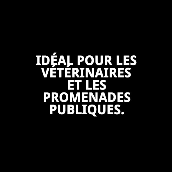Muzzle Cesta en Cuir et Plastique N7 pour Animaux de Compagnie en Sécurité
