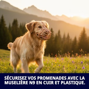 Muzzle Cesta en Cuir et Plastique N9 pour Chiens - Confort et Style 2