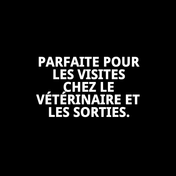 Muzzle Cesta en Cuir et Plastique N9 pour Chiens - Confort et Style