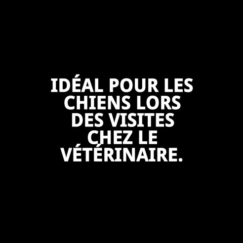 Muzzle Panier en Cuir et Plastique N10 pour Animaux de Compagnie