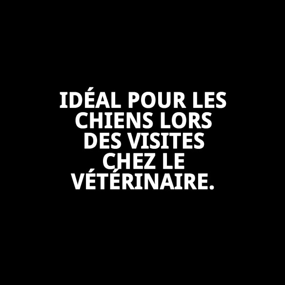 Muzzle Panier en Cuir et Plastique N10 pour Animaux de Compagnie