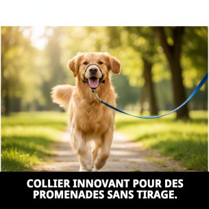Collier Dog Control N3 32 cm : Entraînement Sûr et Efficace 2