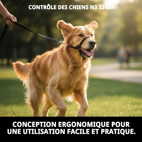 Collier Dog Control N3 32 cm : Entraînement Sûr et Efficace
