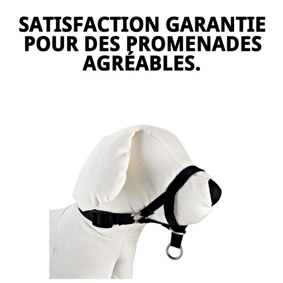 Collier Dog Control N3 32 cm : Entraînement Sûr et Efficace