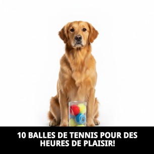Balles de tennis avec empreintes pour animaux - Pack de 10 2