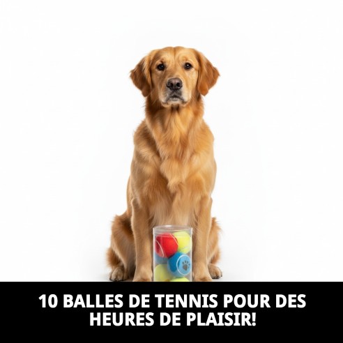 Balles de tennis avec empreintes pour animaux - Pack de 10