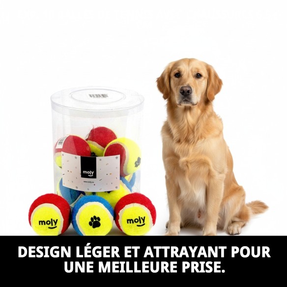 Balles de tennis avec empreintes pour animaux - Pack de 10