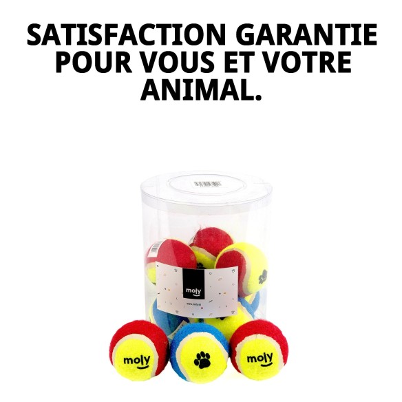 Balles de tennis avec empreintes pour animaux - Pack de 10