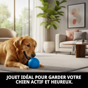 Balle en Caoutchouc Plein Moyenne 6,5 cm pour Animaux de Compagnie 2