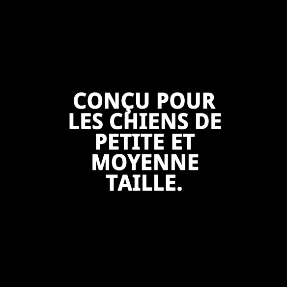 Balle en Caoutchouc Plein Moyenne 6,5 cm pour Animaux de Compagnie