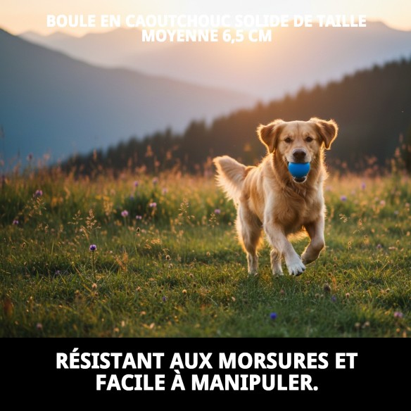 Balle en Caoutchouc Plein Moyenne 6,5 cm pour Animaux de Compagnie