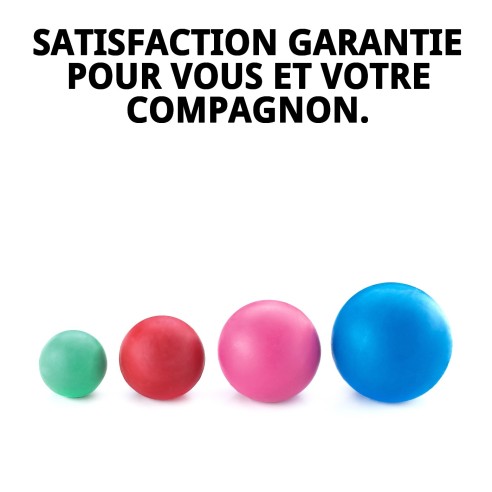 Balle en Caoutchouc Plein Moyenne 6,5 cm pour Animaux de Compagnie