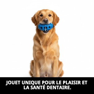 Balle de Rugby en Caoutchouc M - Anneau de Dentition Amusant et Durable 2