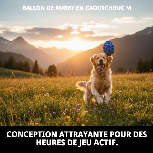 Balle de Rugby en Caoutchouc M - Anneau de Dentition Amusant et Durable