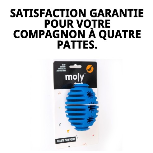 Balle de Rugby en Caoutchouc M - Anneau de Dentition Amusant et Durable