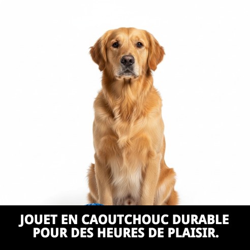 Balle de Rugby en Caoutchouc L - Jouet à Mordre Amusant pour Animaux de Compagnie