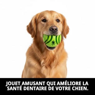 Balle Dentaire en Caoutchouc : Prenez Soin des Dents de Votre Animal ! 2