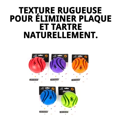 Balle Dentaire en Caoutchouc : Prenez Soin des Dents de Votre Animal !