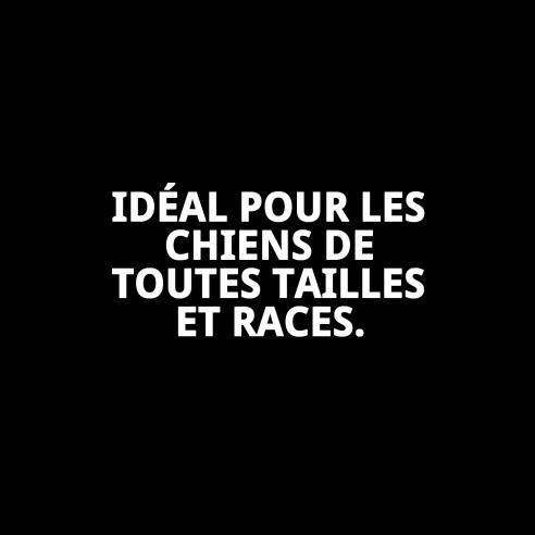 Balle Dentaire en Caoutchouc : Prenez Soin des Dents de Votre Animal !