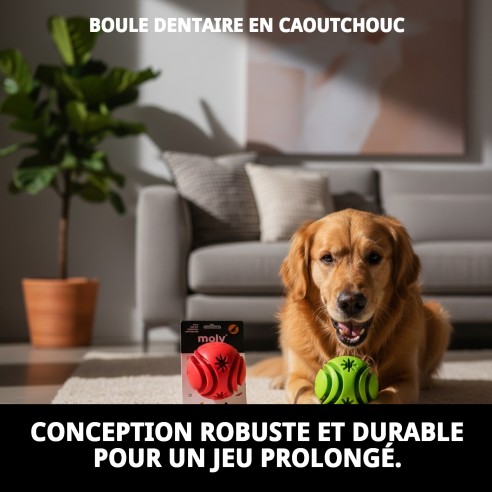 Balle Dentaire en Caoutchouc : Prenez Soin des Dents de Votre Animal !