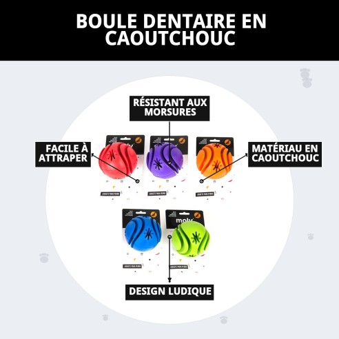Balle Dentaire en Caoutchouc : Prenez Soin des Dents de Votre Animal !