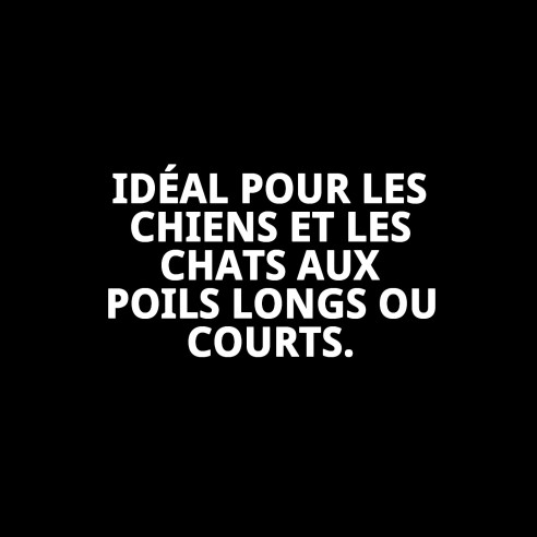 Brosse en bambou moyenne pour toilettage de animaux de compagnie.