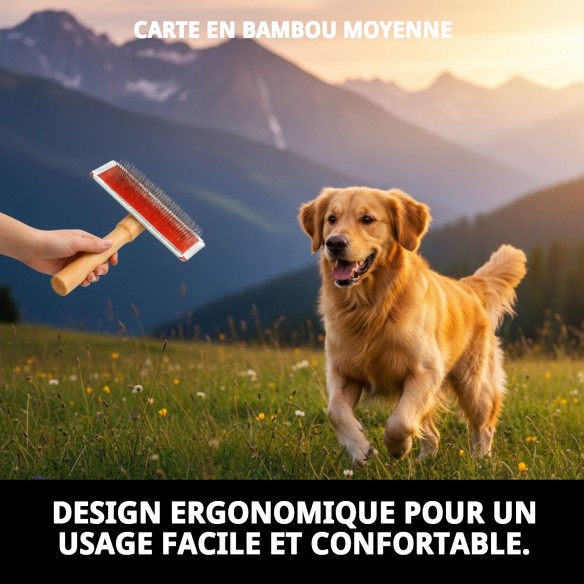 Brosse en bambou moyenne pour toilettage de animaux de compagnie.