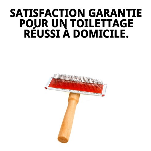 Brosse en bambou moyenne pour toilettage de animaux de compagnie.