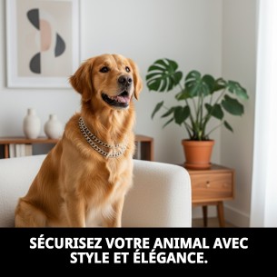 Collier Estran Chaîne 45 cm x 2,5 mm pour Animaux de Compagnie 2