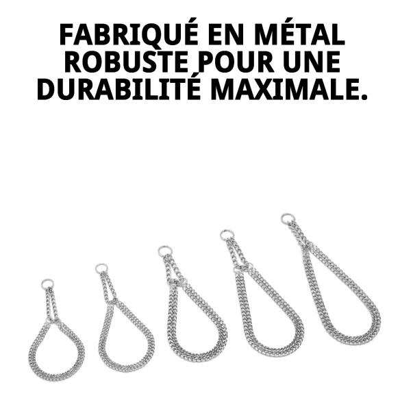 Collier Estran Chaîne 45 cm x 2,5 mm pour Animaux de Compagnie