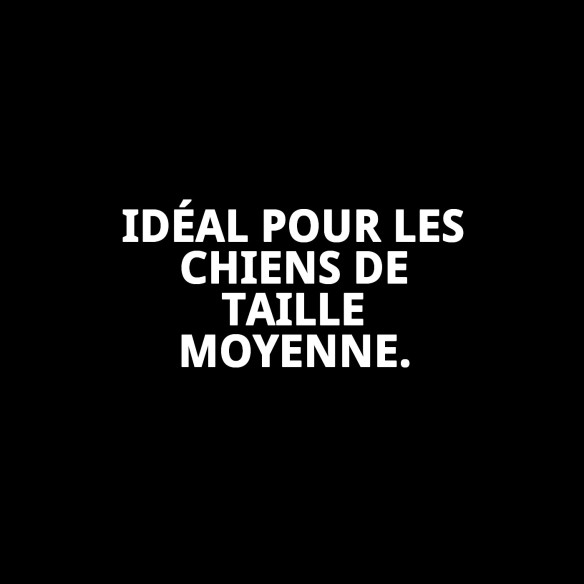 Collier Estran Chaîne 45 cm x 2,5 mm pour Animaux de Compagnie