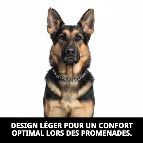 Collier Estran Chaîne 45 cm x 2,5 mm pour Animaux de Compagnie