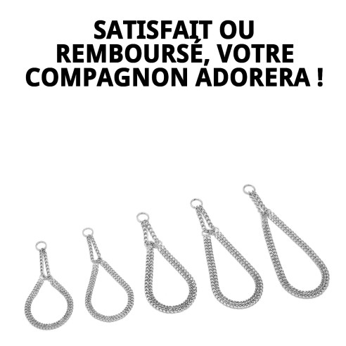 Collier Estran Chaîne 45 cm x 2,5 mm pour Animaux de Compagnie