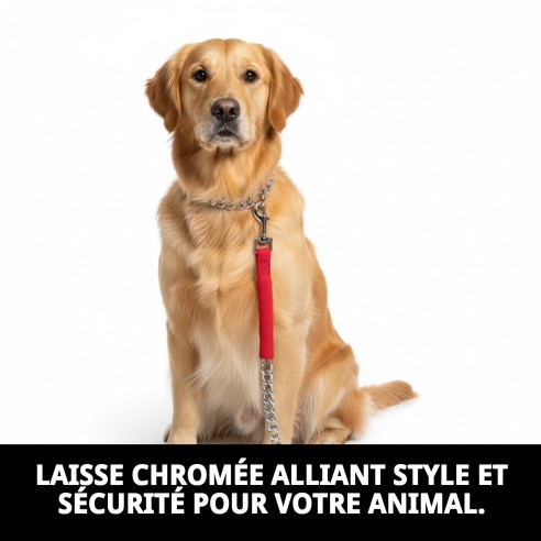 Ramal en Cuir E.Nylon 100cm x 3mm pour Animaux de Compagnie