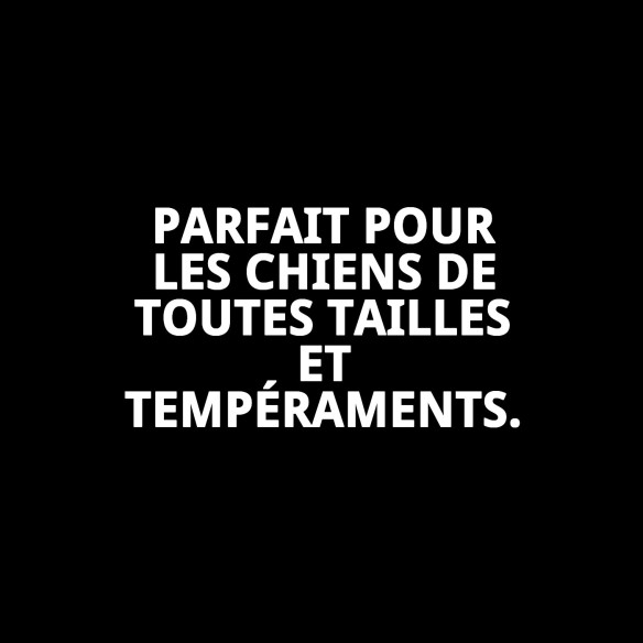 Ramal en Cuir E.Nylon 100cm x 3mm pour Animaux de Compagnie