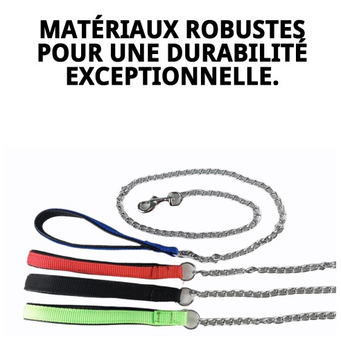 Ramal Cromo E.Nylon Vert 60cm x 4mm pour votre Animal de Compagnie