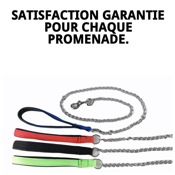 Ramal Cromo E.Nylon Vert 60cm x 4mm pour votre Animal de Compagnie