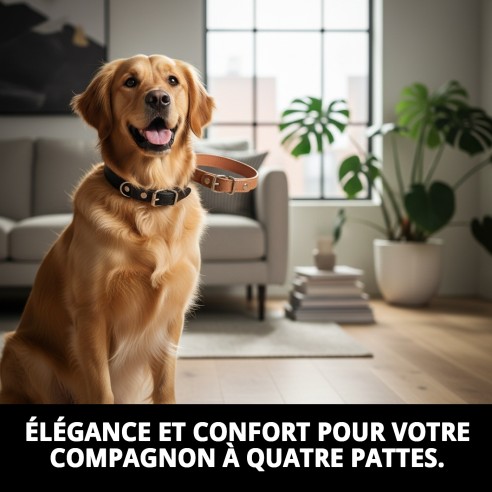 Collier en Cuir Lisse pour Animaux de Compagnie 30 x 1,3 cm